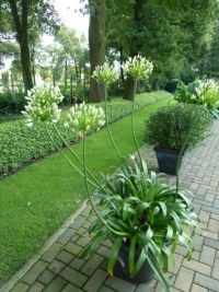 Rene Koot, foto gemaakt in kijktuin Klein Boskoop