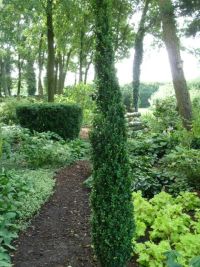 Rene Koot, foto gemaakt in kijktuin Klein Boskoop