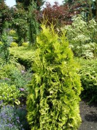 Rene Koot, foto gemaakt in kijktuin Klein Boskoop