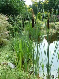 Rene Koot, foto gemaakt in kijktuin Klein Boskoop